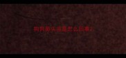狗狗鼻头凉是怎么回事