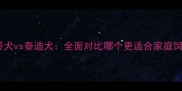 八哥犬vs泰迪犬全面对比哪个更适合家庭饲养