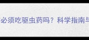 狗狗打疫苗前必须吃驱虫药吗科学指南与注意事项全