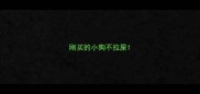 刚买的小狗不拉屎