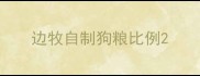 边牧自制狗粮比例