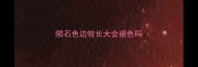 陨石色边牧长大会褪色吗