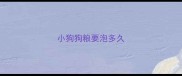 小狗狗粮要泡多久