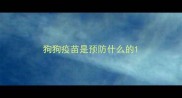 狗狗疫苗是预防什么的