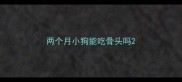 两个月小狗能吃骨头吗