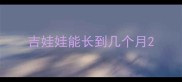 吉娃娃能长到几个月
