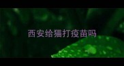 西安给猫打疫苗吗