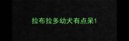 拉布拉多幼犬有点呆