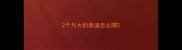 2个月大的泰迪怎么喂