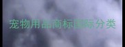 宠物用品商标国际分类