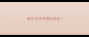 猫咪换牙有哪些症状