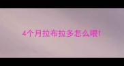4个月拉布拉多怎么喂