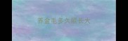 养金毛多久能长大