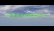 宠物店会收购狗狗吗