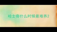 哈士奇什么时候最难养