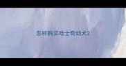 怎样购买哈士奇幼犬