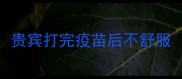 贵宾打完疫苗后不舒服