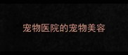 宠物医院的宠物美容