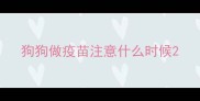 狗狗做疫苗注意什么时候