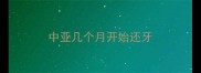 中亚几个月开始还牙