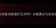 拉布拉多能当家庭护卫犬吗训练要点与安全建议全