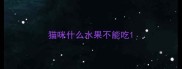 猫咪什么水果不能吃