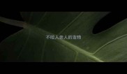 不咬人亲人的宠物
