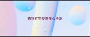 狗狗打完疫苗多久检测