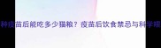 猫咪接种疫苗后能吃多少猫粮疫苗后饮食禁忌与科学喂养指南