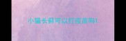 小猫长藓可以打疫苗吗