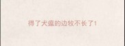 得了犬瘟的边牧不长了