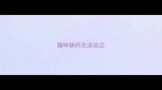 猫咪缺钙无法站立