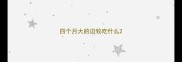 四个月大的边牧吃什么