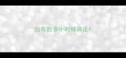 拉布拉多小时候调皮