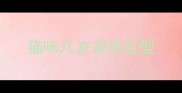 猫咪几岁身体定型