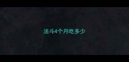法斗4个月吃多少