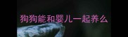 狗狗能和婴儿一起养么