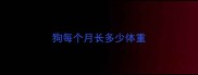 狗每个月长多少体重