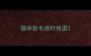 猫咪胎毛啥时候退