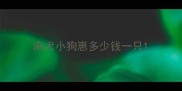 麻犬小狗崽多少钱一只