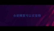 合肥哪里可以买宠物
