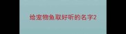给宠物鱼取好听的名字