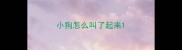 小狗怎么叫了起来