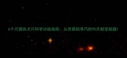 6个月固执犬只科学训练指南从恶霸到乖巧的90天蜕变秘籍