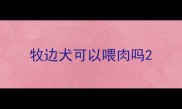 牧边犬可以喂肉吗