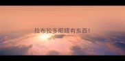拉布拉多眼睛有东西