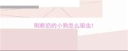 刚断奶的小狗怎么驱虫