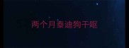 两个月泰迪狗干呕