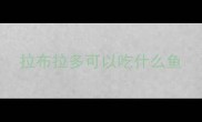 拉布拉多可以吃什么鱼