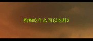 狗狗吃什么可以吃胖